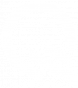 Qubit-Q-logo-bianco